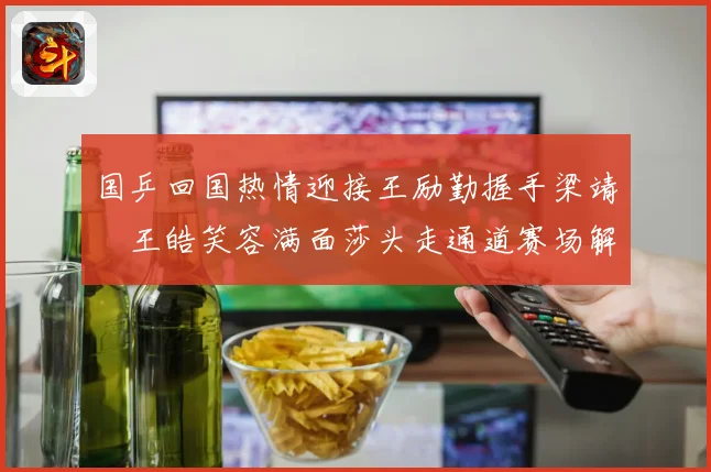 国乒回国热情迎接王励勤握手梁靖崑王皓笑容满面莎头走通道赛场解读
