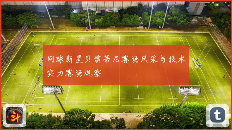 网球新星贝雷蒂尼赛场风采与技术实力赛场观察