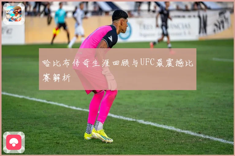 哈比布传奇生涯回顾与UFC最震撼比赛解析