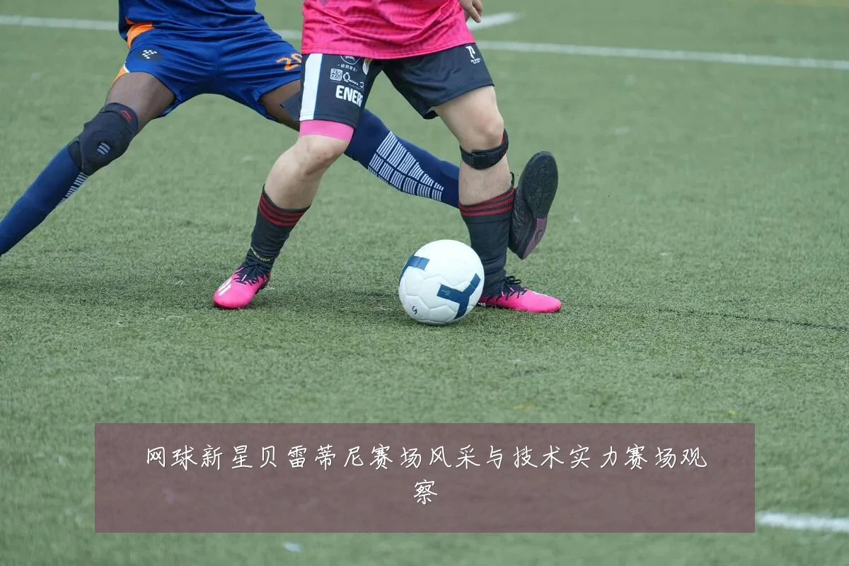 网球新星贝雷蒂尼赛场风采与技术实力赛场观察