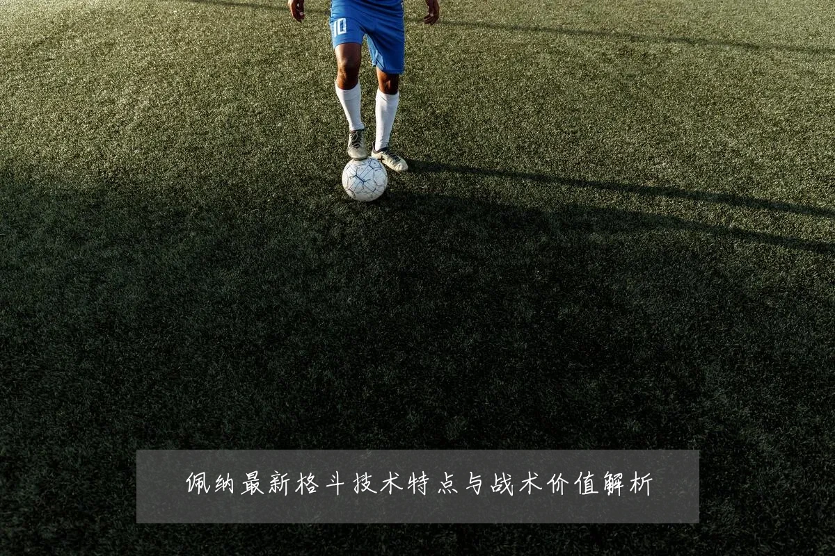 佩纳最新格斗技术特点与战术价值解析